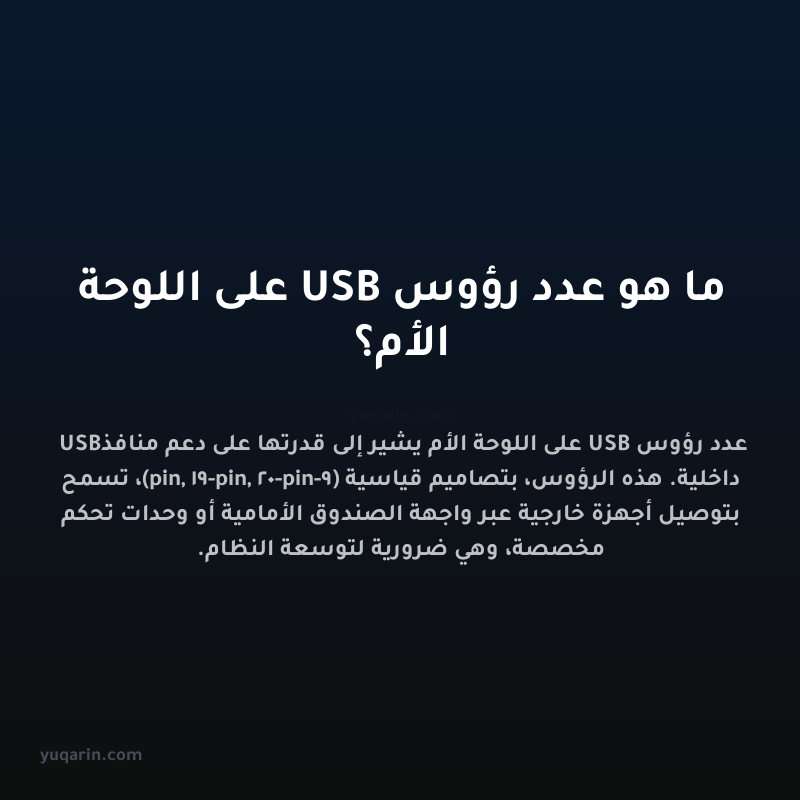ما هو عدد رؤوس USB على اللوحة الأم؟
