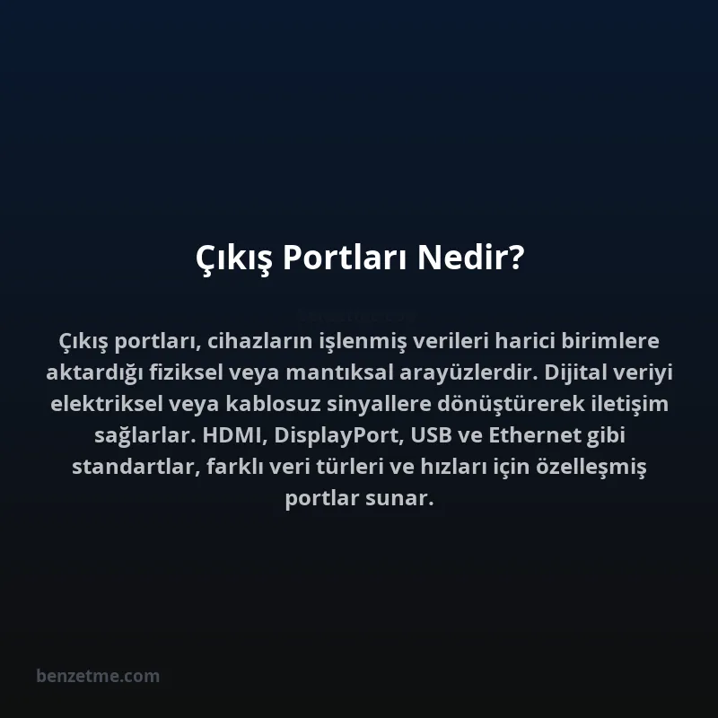 Çıkış Portları Nedir?