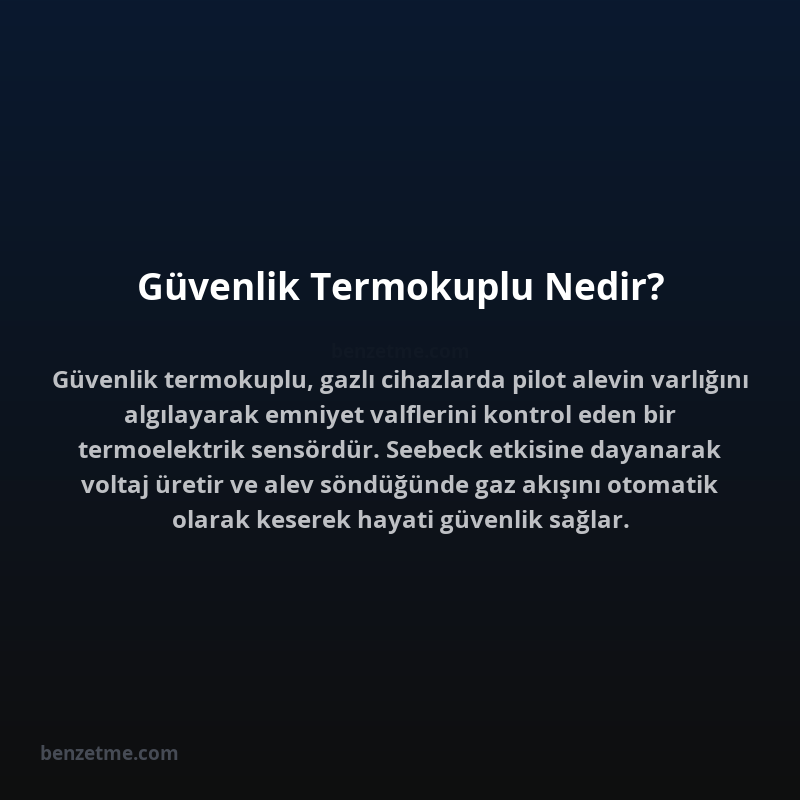 Güvenlik Termokuplu Nedir?