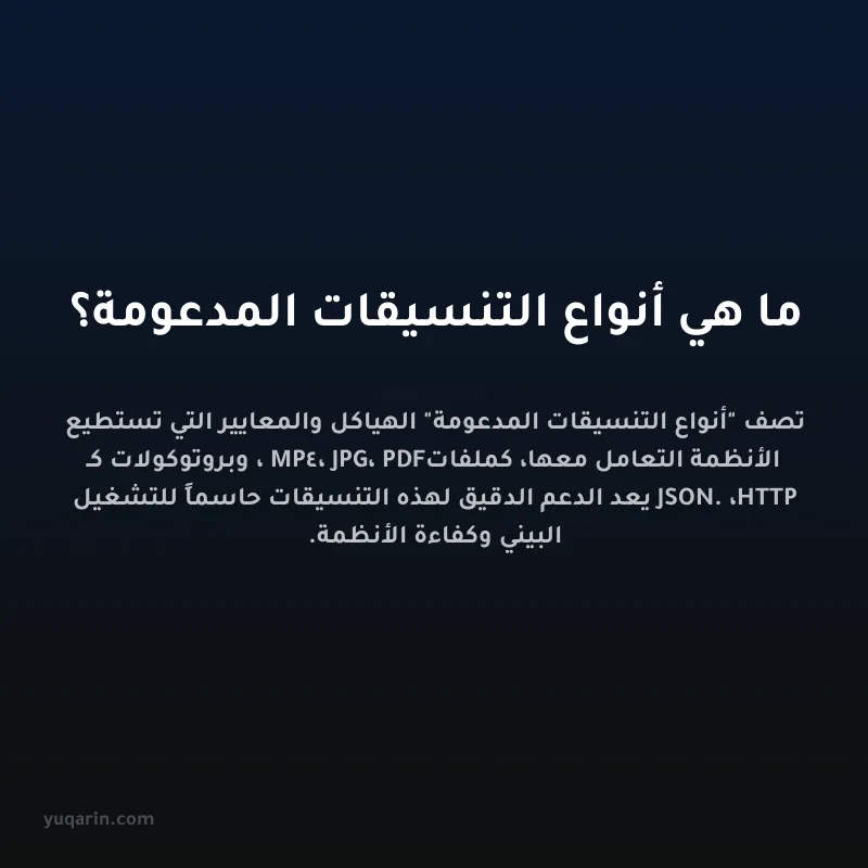 ما هي أنواع التنسيقات المدعومة؟