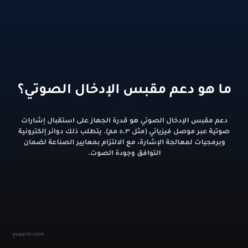 ما هو دعم مقبس الإدخال الصوتي؟