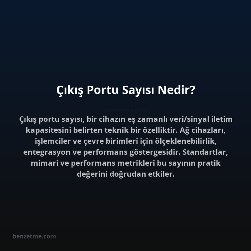 Çıkış Portu Sayısı Nedir?