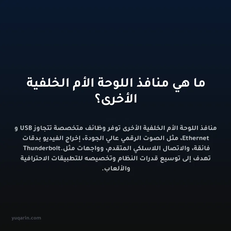 ما هي منافذ اللوحة الأم الخلفية الأخرى؟