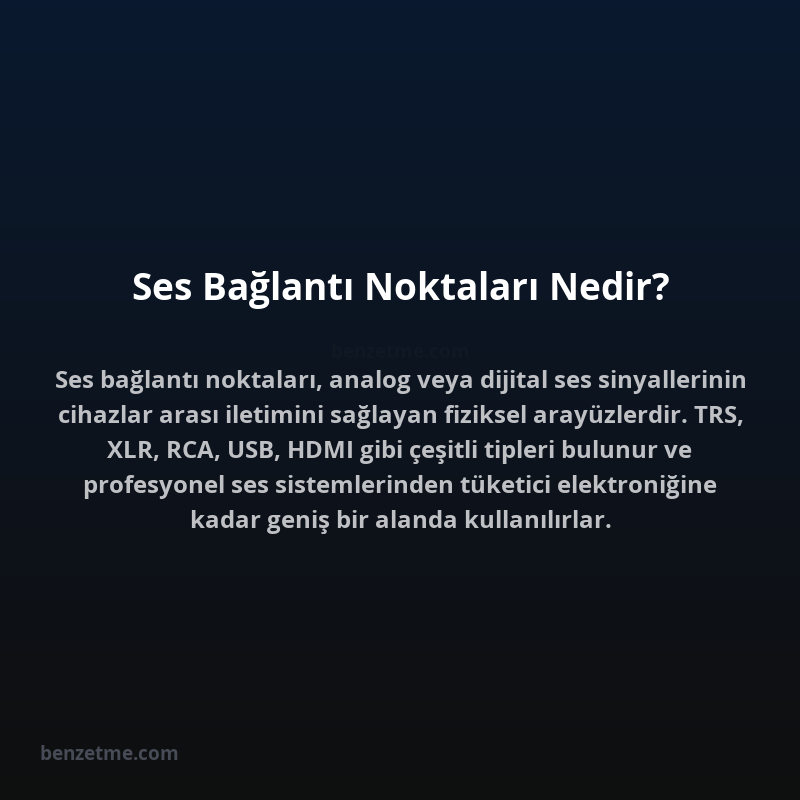 Ses Bağlantı Noktaları Nedir?
