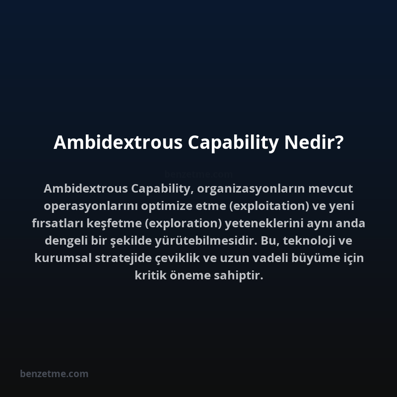 Ambidextrous Capability Nedir?