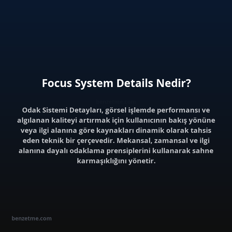 Focus System Details Nedir?