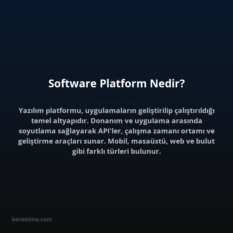 Software Platform Nedir?