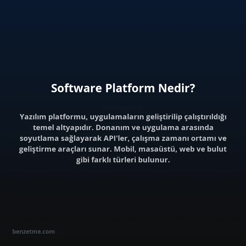 Software Platform Nedir?