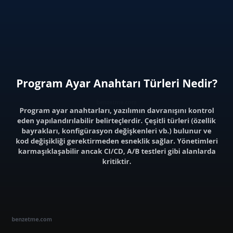 Program Ayar Anahtarı Türleri Nedir?