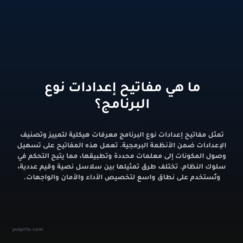 ما هي مفاتيح إعدادات نوع البرنامج؟