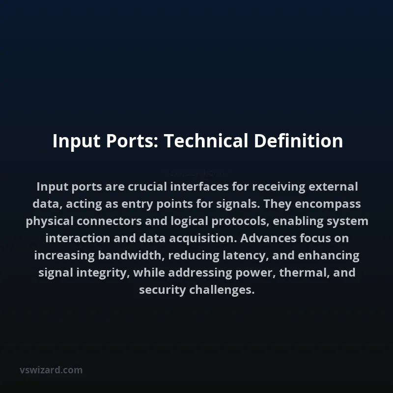 Input Ports: Technical Definition