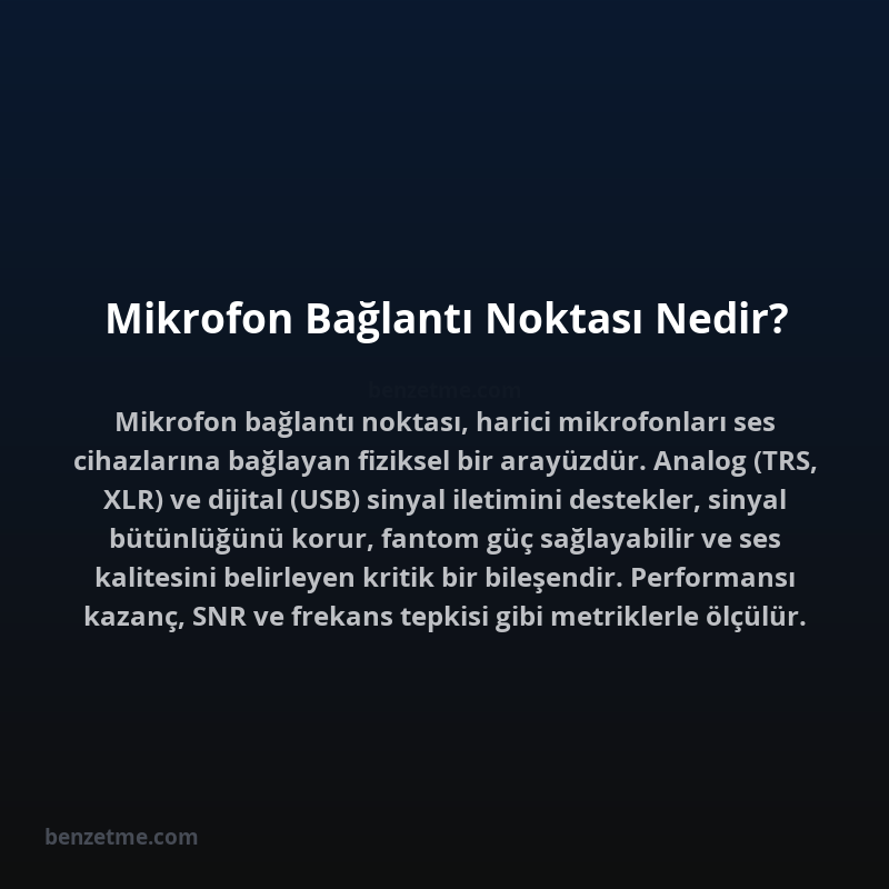 Mikrofon Bağlantı Noktası Nedir?