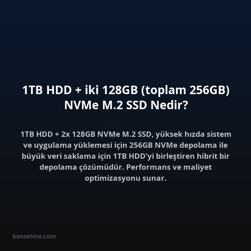 1TB HDD + iki 128GB (toplam 256GB) NVMe M.2 SSD Nedir?