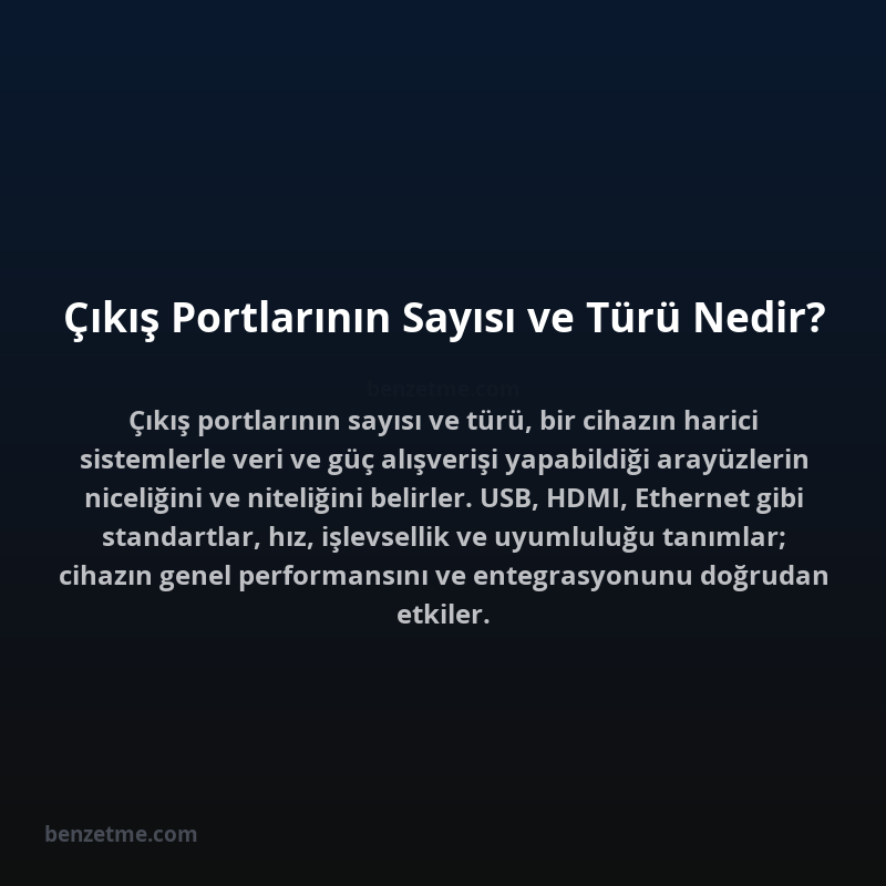 Çıkış Portlarının Sayısı ve Türü Nedir?