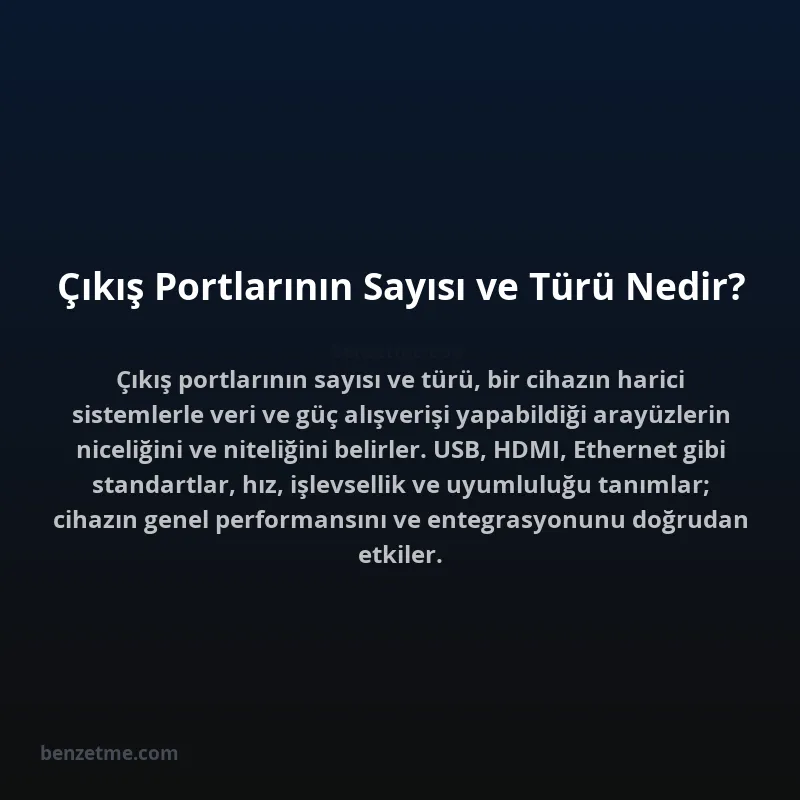 Çıkış Portlarının Sayısı ve Türü Nedir?
