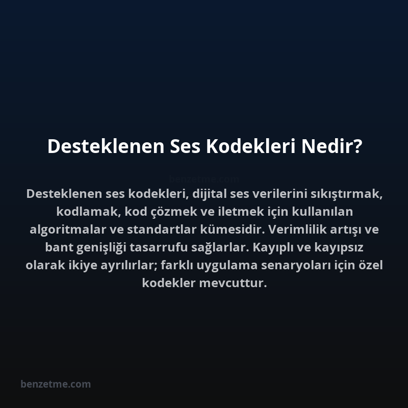 Desteklenen Ses Kodekleri Nedir?