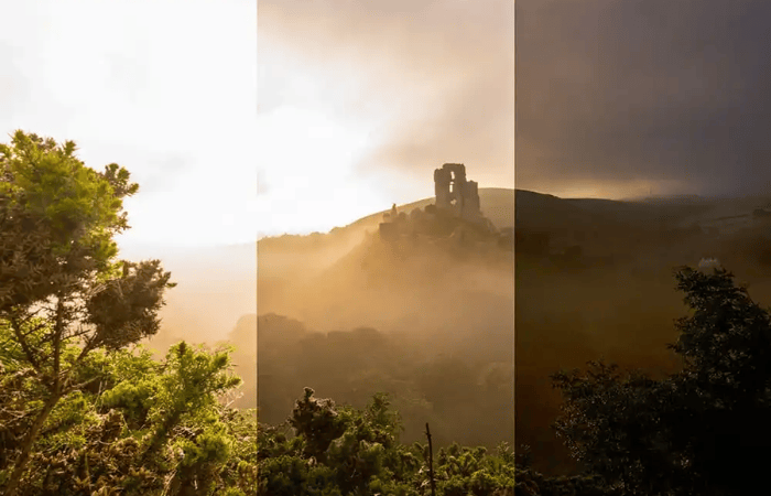 داینامیک رنج چیست؟