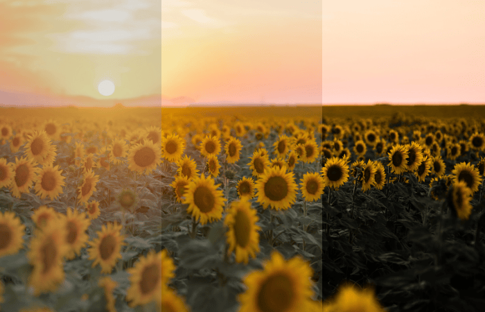 کنتراست چیست؟